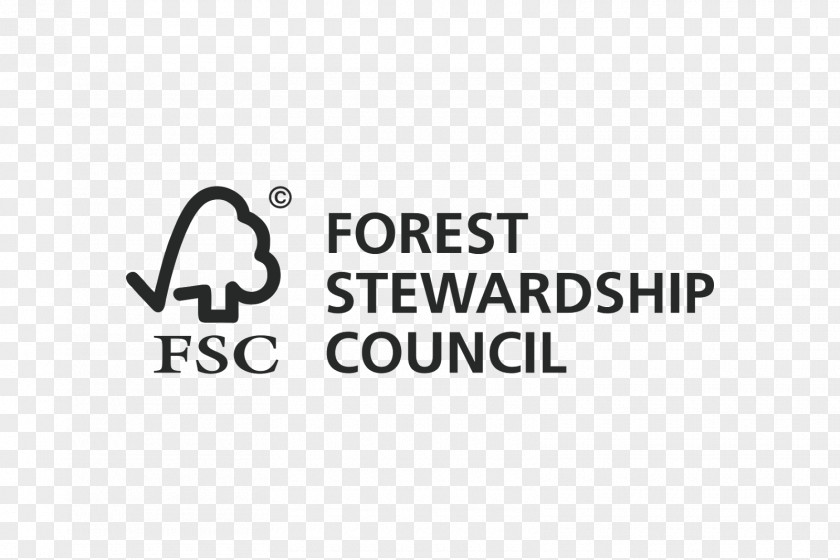 Building Paper Forest Stewardship Council Floor Environmentally Friendly PNG
