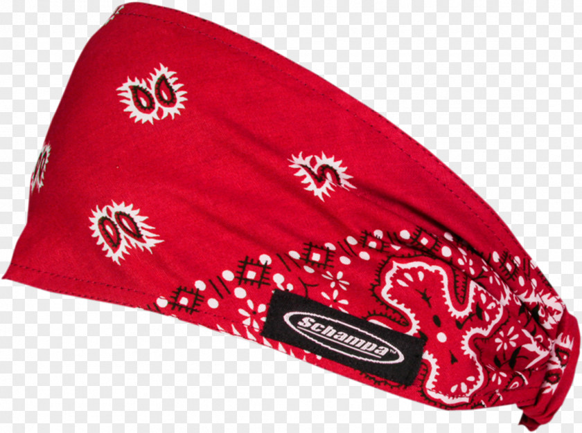 Hat Kerchief Paisley Scarf Handbag PNG