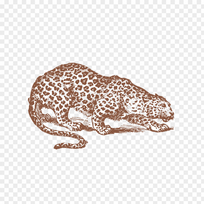 Painted Jaguar PNG