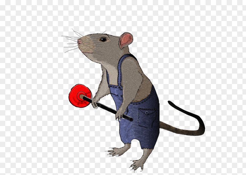 Rat & Mouse Rodent Murids Animal PNG