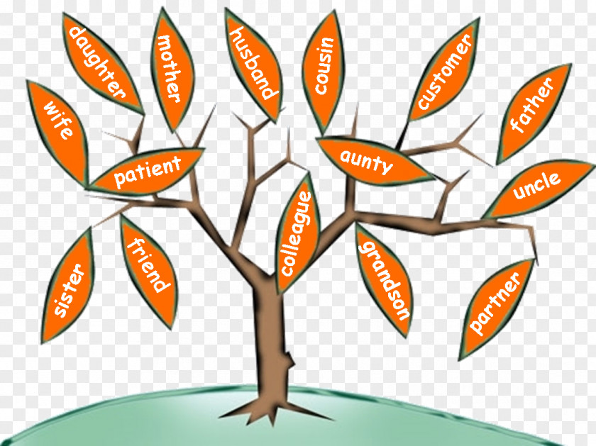 Australian Tree Clip Art Leaf Design Line PNG