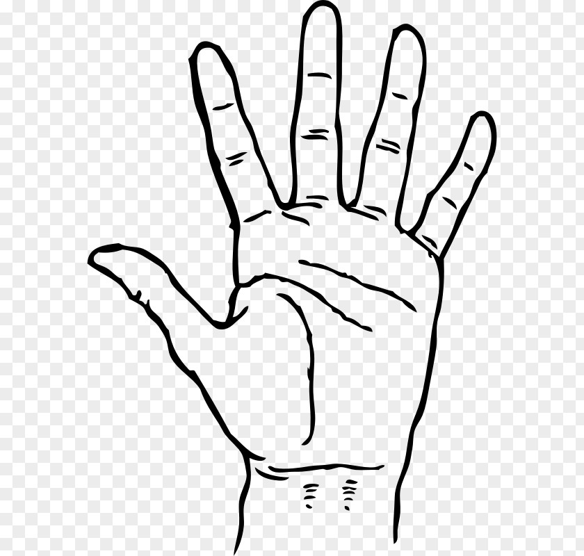 Open Hand Finger Clip Art PNG