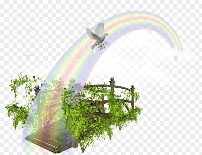 Rainbow Environment Psd Vector Graphics Download Image PNG