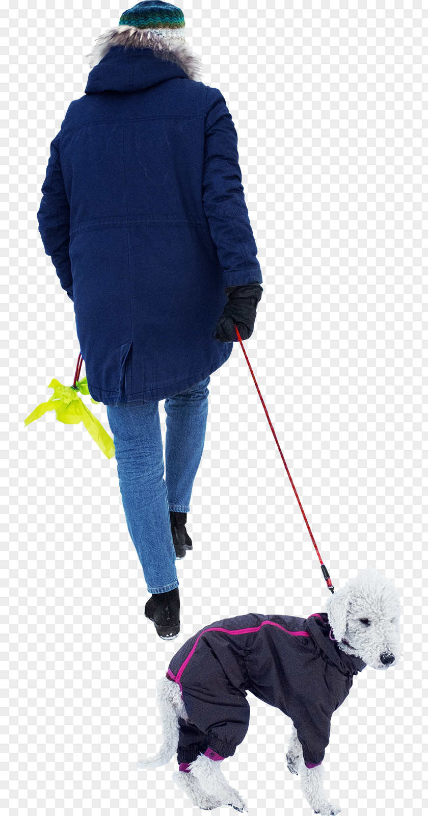 Walk Dog Walking Leash PNG