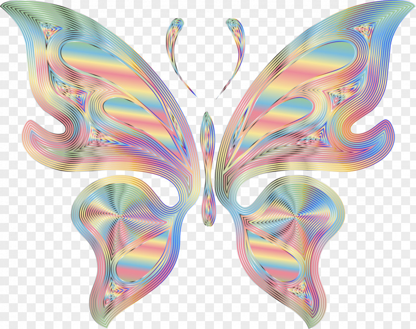 Butterfly Insect Desktop Wallpaper Clip Art PNG