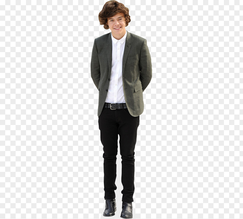 Cutout Style Harry Styles Standee One Direction Celebrity Humour PNG