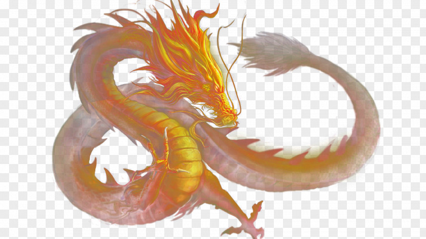 Golden Dragon PNG