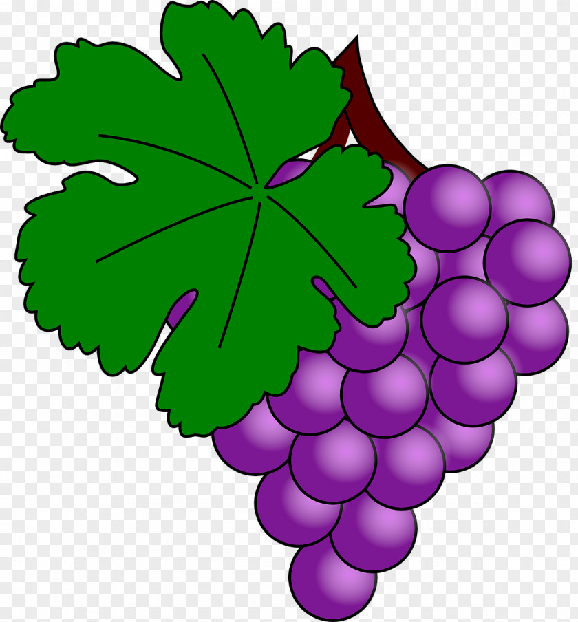 Grape Common Vine Wine Clip Art PNG
