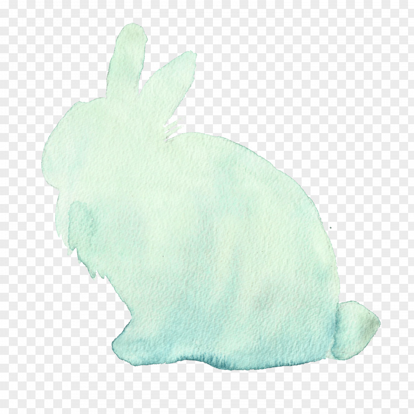 Green Rabbit Domestic Hare PNG