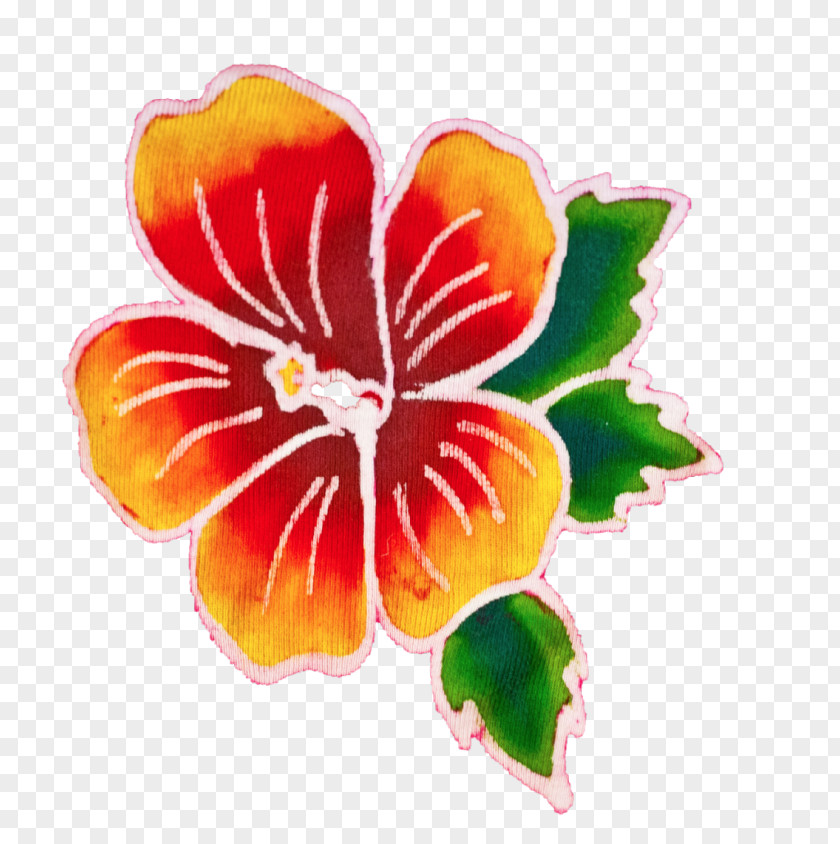 Mallow Family Malvales Hawaiian Flower PNG