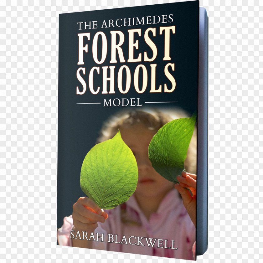 School Forest In Practice: For All Ages Kindergarten PNG