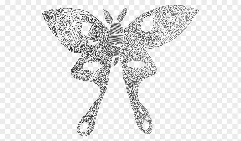Seafoam Green Butterflies Moth /m/02csf Drawing Insect Product PNG
