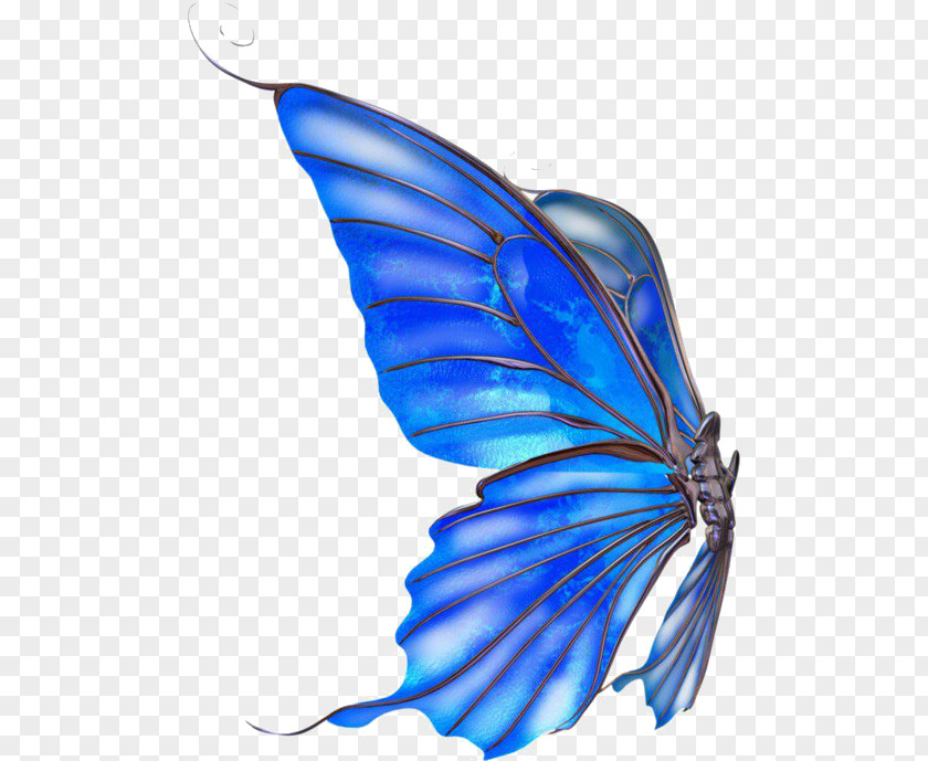 Butterfly Monarch Jellyfish Blue PNG