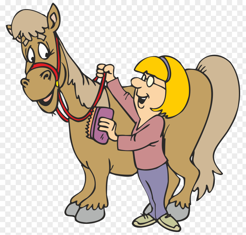 Horse Grooming Dog Equestrian Clip Art PNG