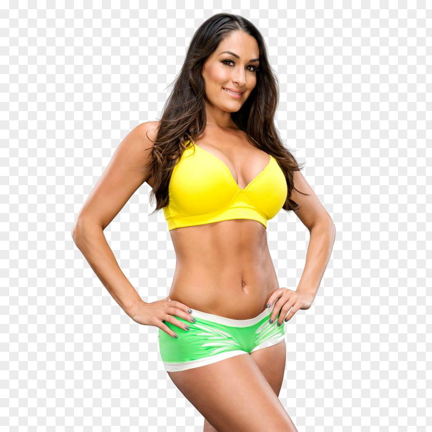 Nikki Bella WWE SmackDown Women In The Twins Professional Wrestling PNG in wrestling, wwe clipart PNG