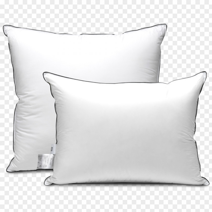 Pillow Blanket Down Feather Kariguz Discounts And Allowances PNG