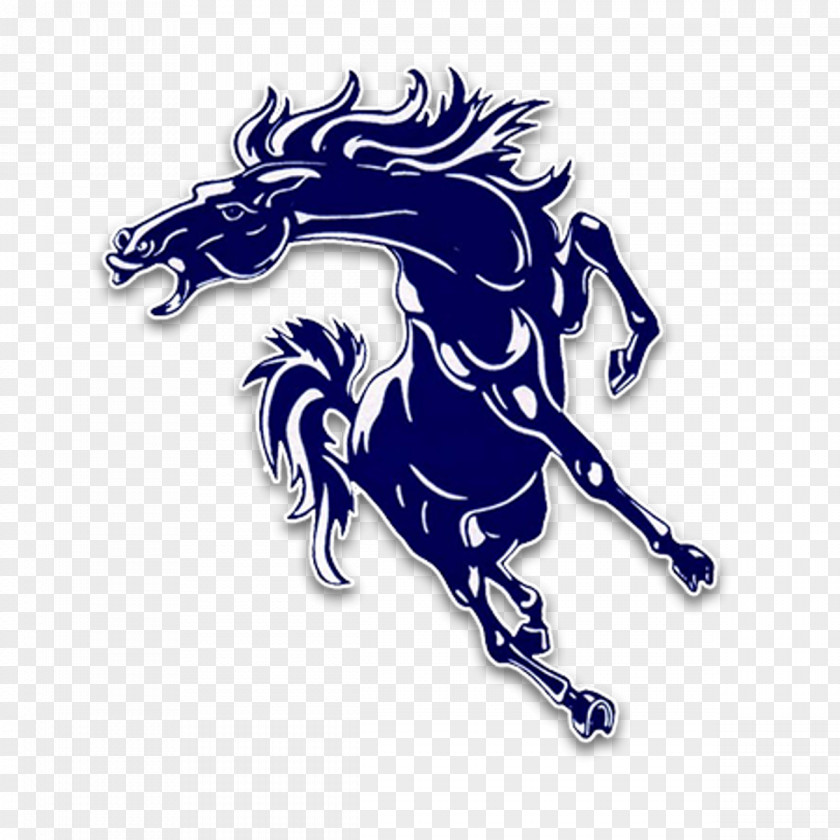 School North Mesquite High Stallion National Secondary PNG
