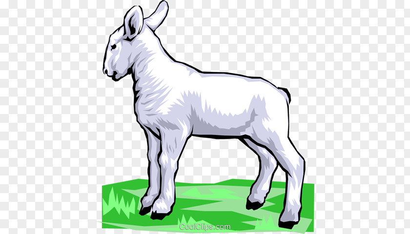 Sheep Cattle Art Meat Clip PNG