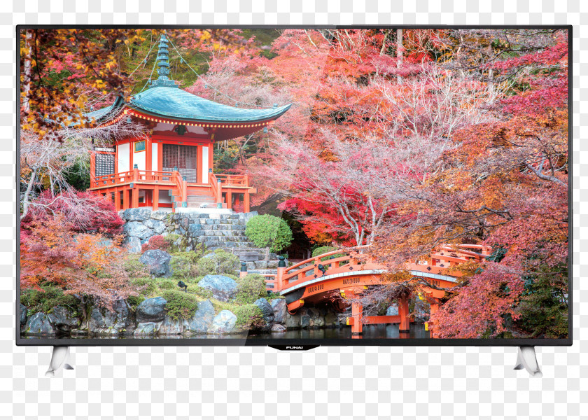 Temple Daigo-ji Travel Hotel Japanese Garden PNG