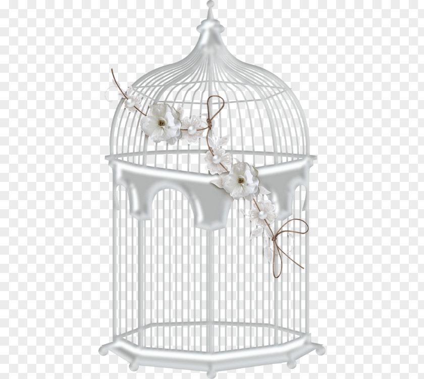 Wedding Cage Birdcage PNG
