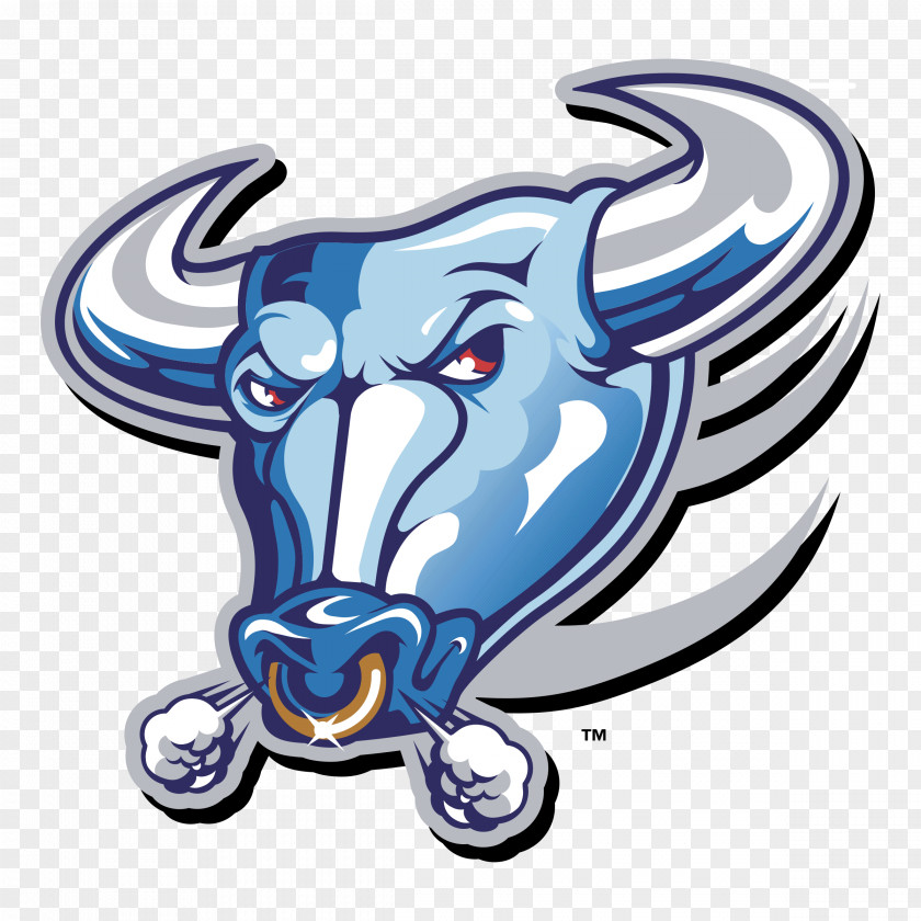 Bull Buffalo Bulls Football Bills Logo PNG