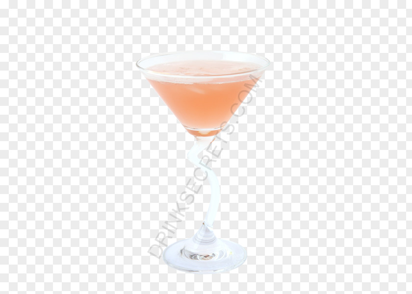 Cocktail Garnish Martini Bacardi Cosmopolitan PNG