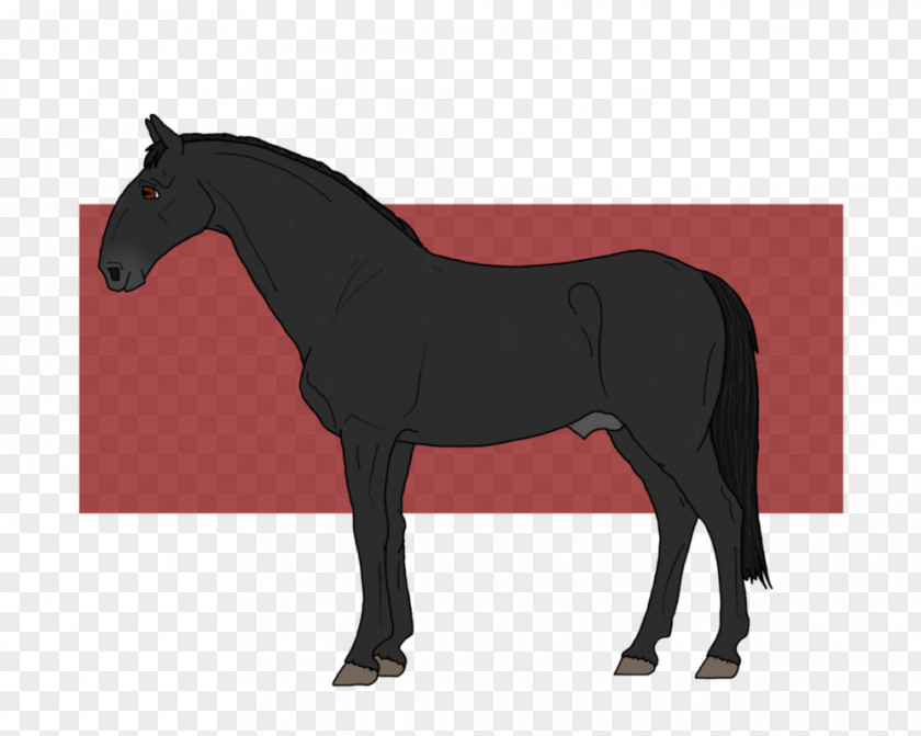 Mustang Stallion Mare Rein Pony PNG