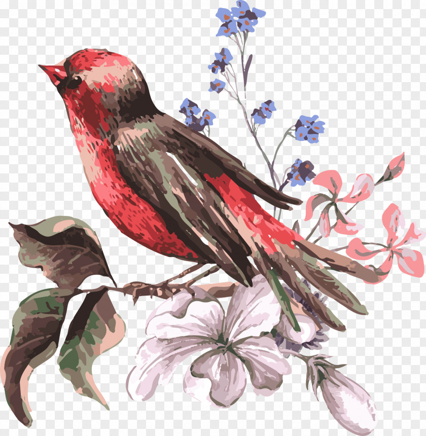 Bird Euclidean Vector Royalty-free Illustration PNG