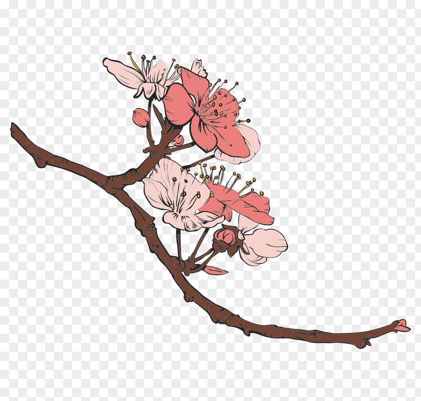 Cherry Blossom Floral Design PNG