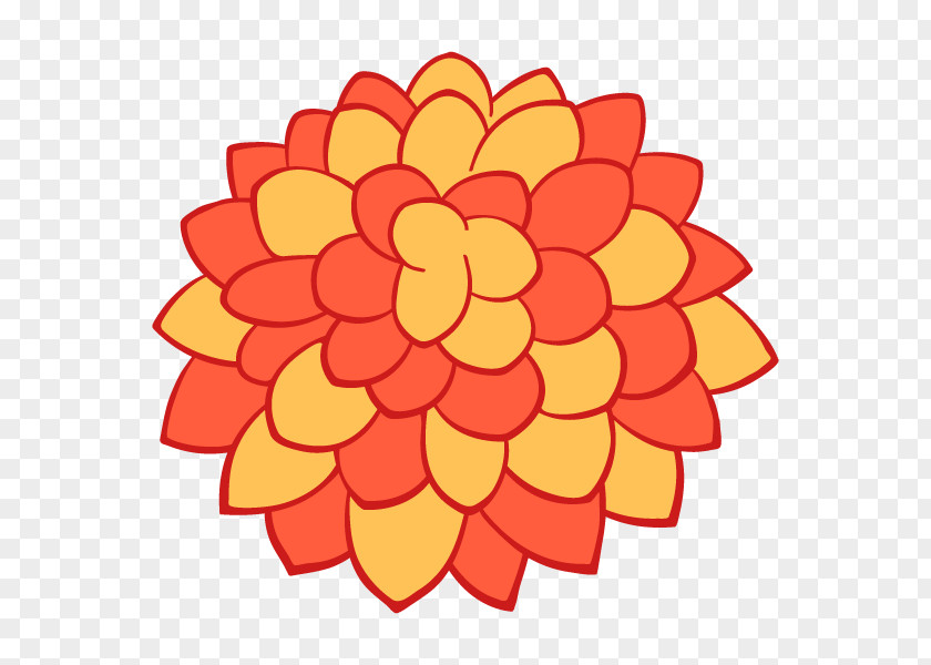 Floral Design Cut Flowers Chrysanthemum PNG