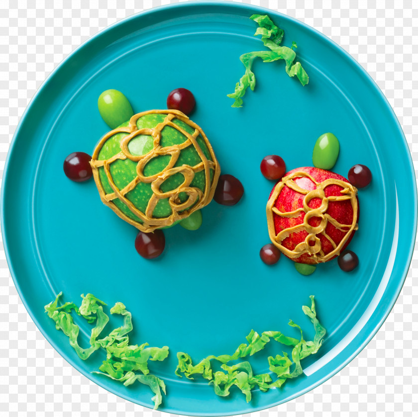 Groundnut Turtle Plate Organism Tableware Animal PNG