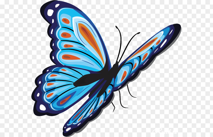 Monarch Butterfly Clip Art Image PNG