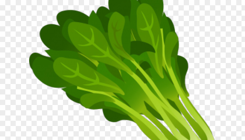 Rainbow Chard Kale Clip Art Lettuce Greens Salad PNG