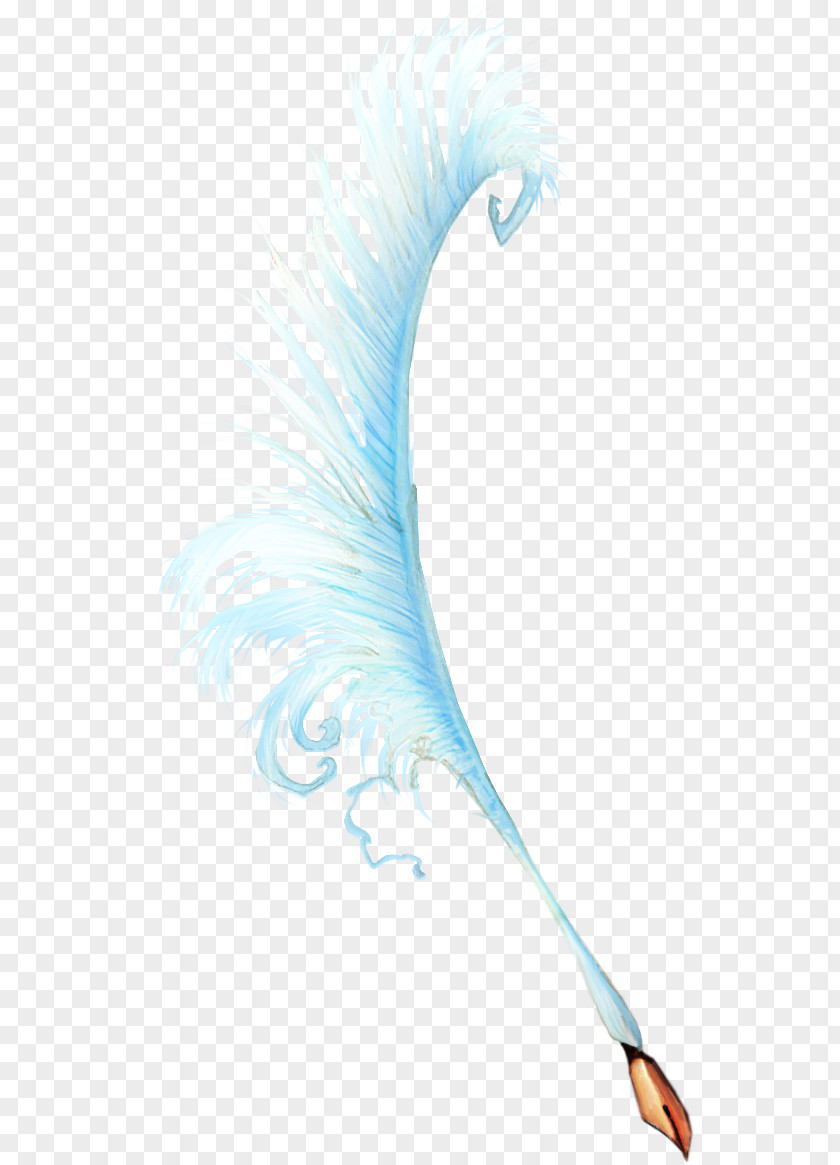 Blue Feather Graphic Design Text Illustration PNG