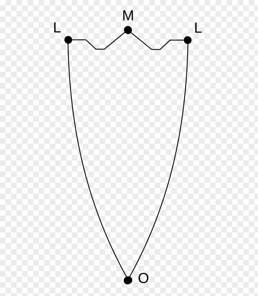 Frontal Plane Brain Diagram Posselta Wikipedia Wikimedia Commons PNG