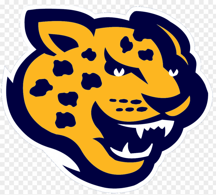 Jaguar Southern Jaguars Football Women's Basketball Baseball University And A&M College Jacksonville PNG