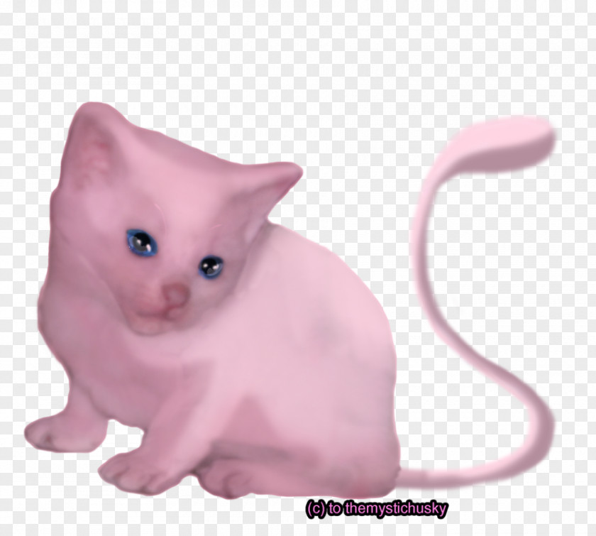 Kitten Mewtwo Cat Whiskers PNG