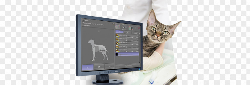 Veterinary Medicine Digital Radiography Computed DICOM PNG