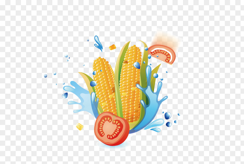 Corn Tomato Water Droplets Vegetable Auglis Illustration PNG
