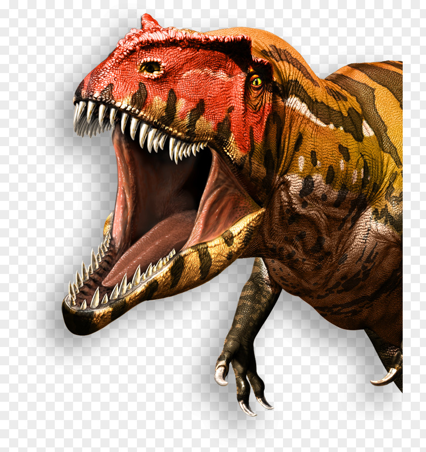Dinosaur Tyrannosaurus Giganotosaurus Ultimate Dinosaurs: Giants From Gondwana Velociraptor Royal Ontario Museum PNG