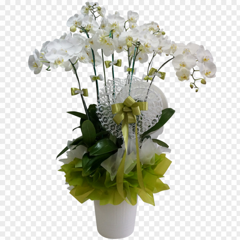 Flower Floral Design Bouquet Cut Flowers Orchids PNG