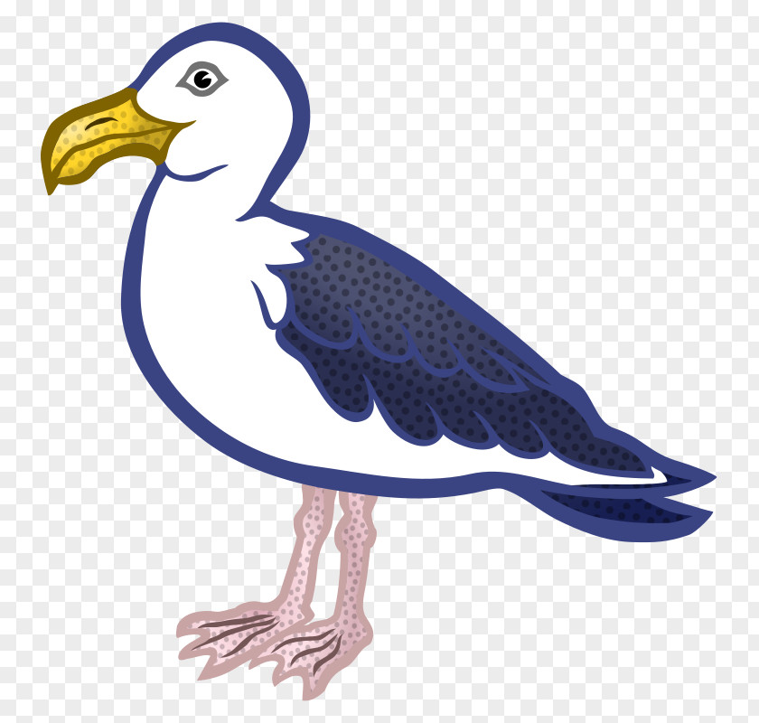 Gull Gulls Bird Clip Art PNG