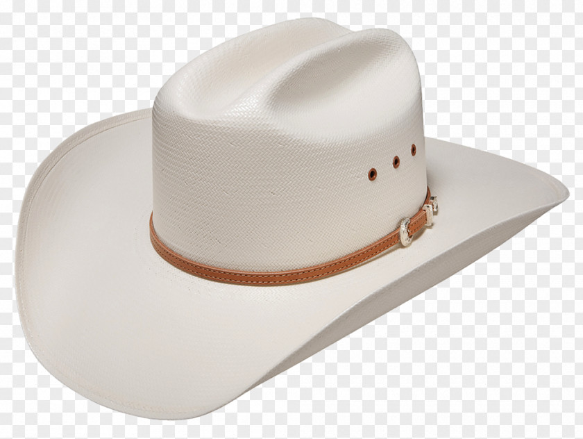 Hat Straw Stetson Cowboy Resistol PNG