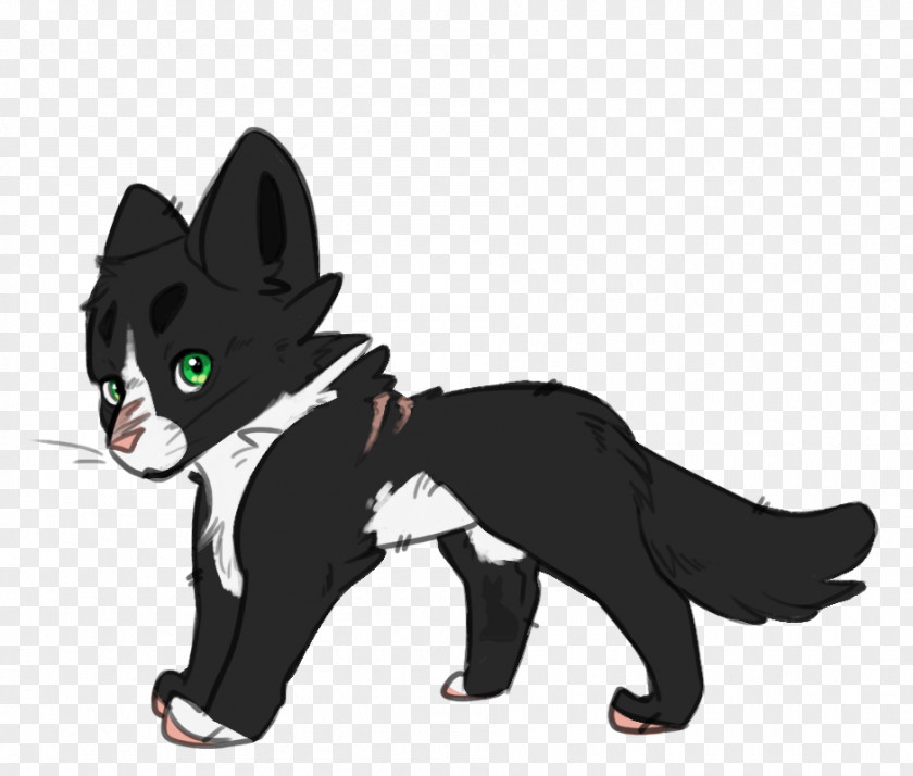 Kitten Whiskers Dog Black Cat PNG