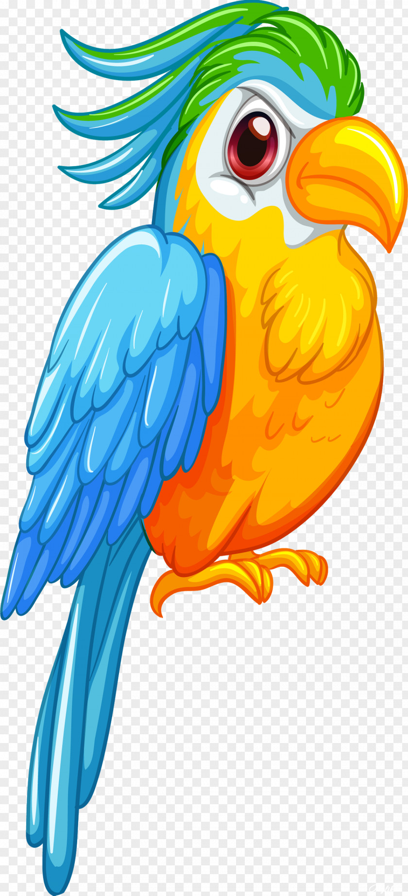 Parrot Bird Royalty-free PNG