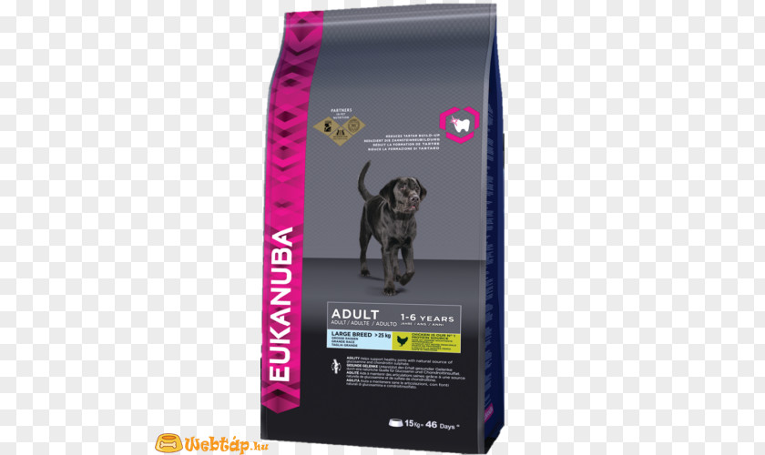 Puppy Cat Food Labrador Retriever Eukanuba Dog PNG