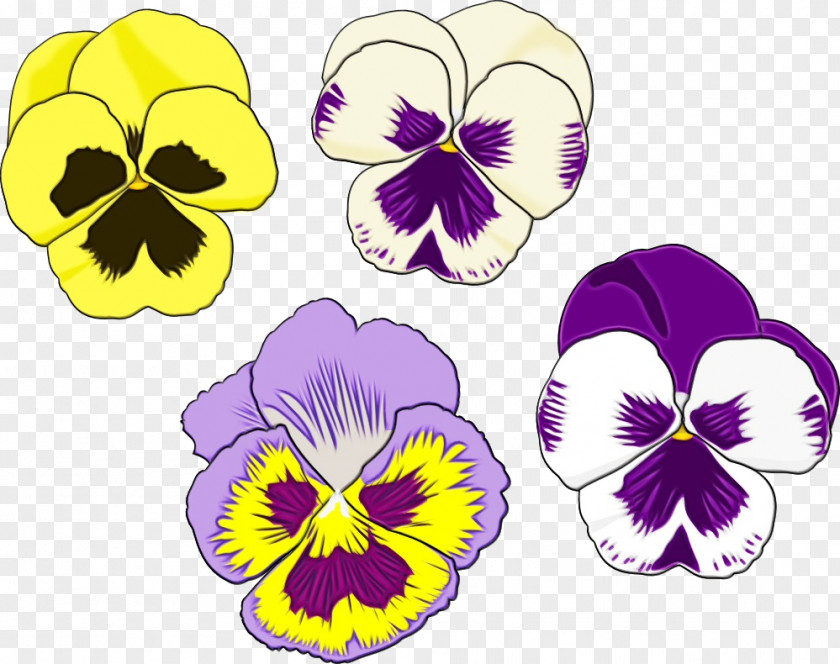 Violet Family Yellow Flower Flowering Plant Wild Pansy PNG
