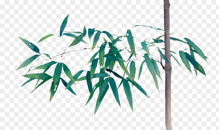 Green Bamboo Bamboe Computer File PNG