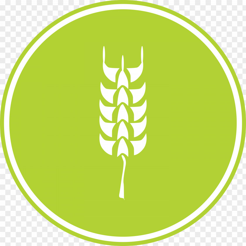 Oats Wheat Logo PNG