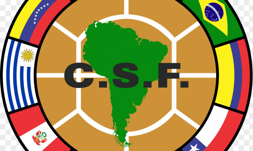 CONMEBOL 2014 FIFA World Cup Brazil National Football Team Copa AméricaFootball Qualifiers PNG